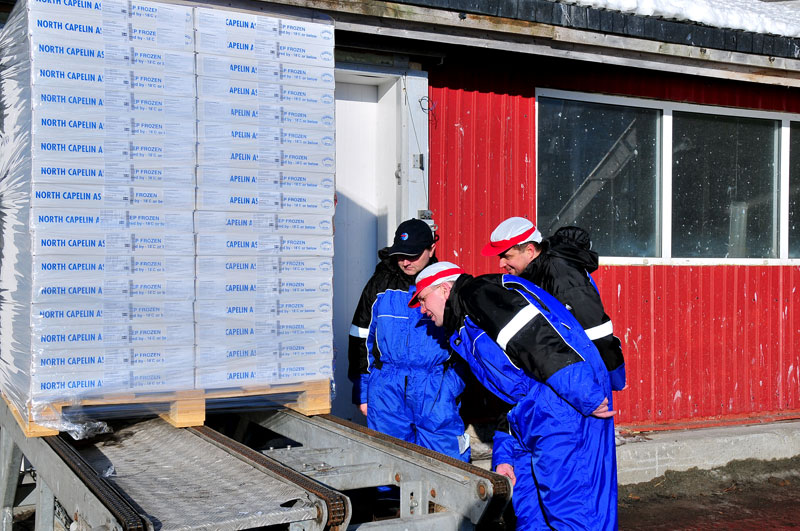 Scandinavie, Norvge, Sude, Finlande